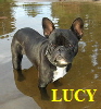 Lucy 02