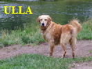 ULLA